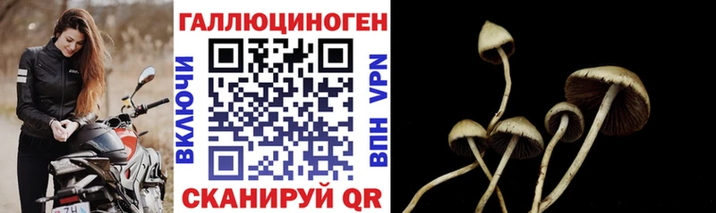 где купить наркоту  Полевской  Псилоцибиновые грибы GOLDEN TEACHER 