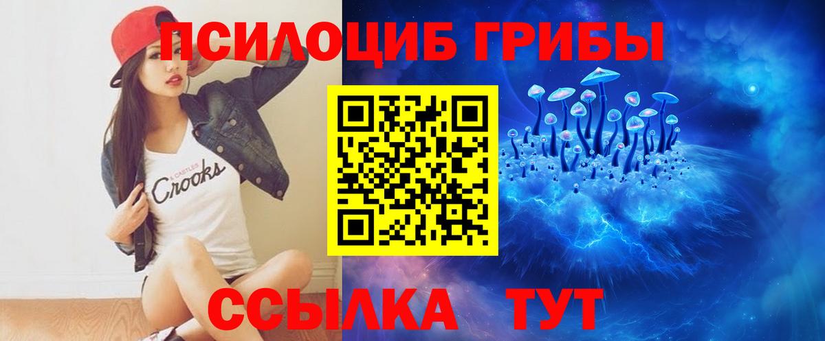 Галлюциногенные грибы прущие грибы  Вход с VPN  Галлюциногенные грибы прущие грибы  Полевской 